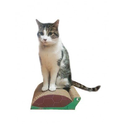 RASCADOR DE GATOS- MI AMIGA LA TORTUGA